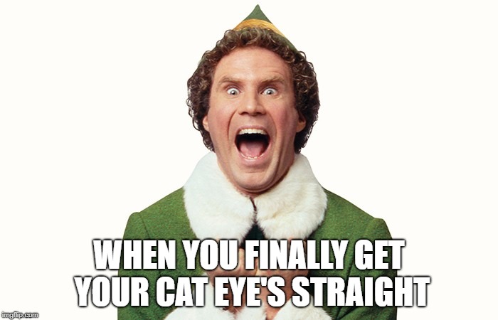 Buddy the elf excited | WHEN YOU FINALLY GET YOUR CAT EYE'S STRAIGHT | image tagged in buddy the elf excited | made w/ Imgflip meme maker