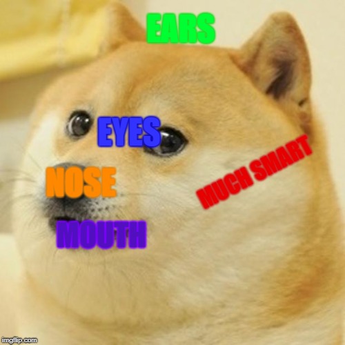 Much Smart Soul of Doge - Imgflip