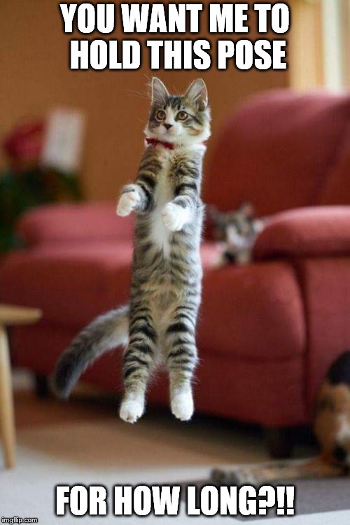 Jumping cat | YOU WANT ME TO HOLD THIS POSE; FOR HOW LONG?!! | image tagged in kitty | made w/ Imgflip meme maker