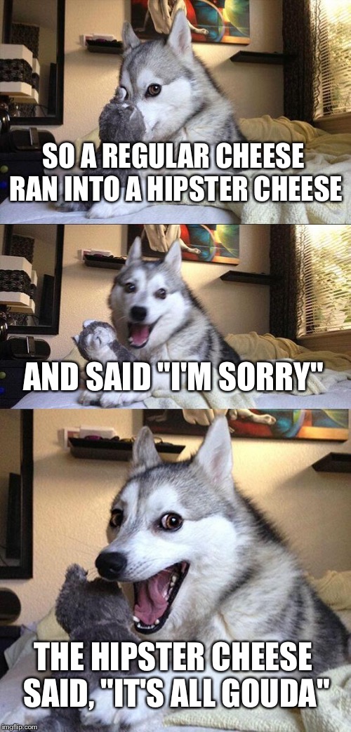 Bad Pun Dog | SO A REGULAR CHEESE RAN INTO A HIPSTER CHEESE; AND SAID "I'M SORRY"; THE HIPSTER CHEESE SAID, "IT'S ALL GOUDA" | image tagged in memes,bad pun dog | made w/ Imgflip meme maker