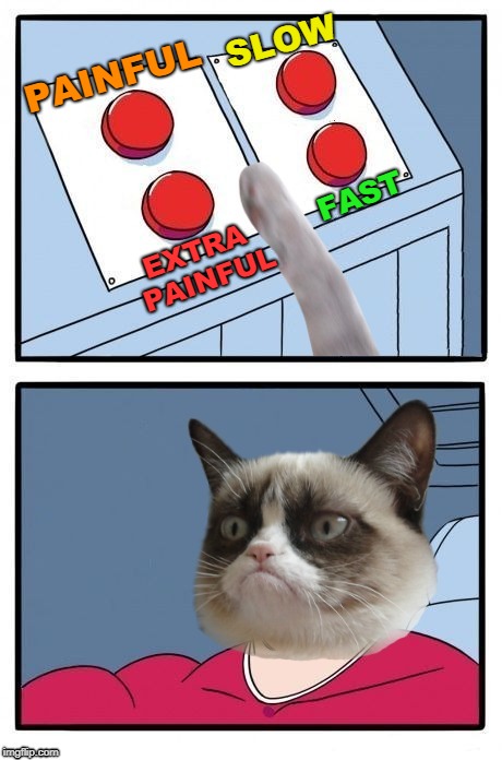 Dr. Grumpy Catvorkian | PAINFUL; SLOW; EXTRA PAINFUL; FAST | image tagged in two buttons,grumpy cat four buttons,dr kevorkian,euthanasia,in cold blood,new template | made w/ Imgflip meme maker