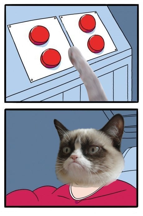 High Quality Grumpy Cat Four Buttons Blank Meme Template