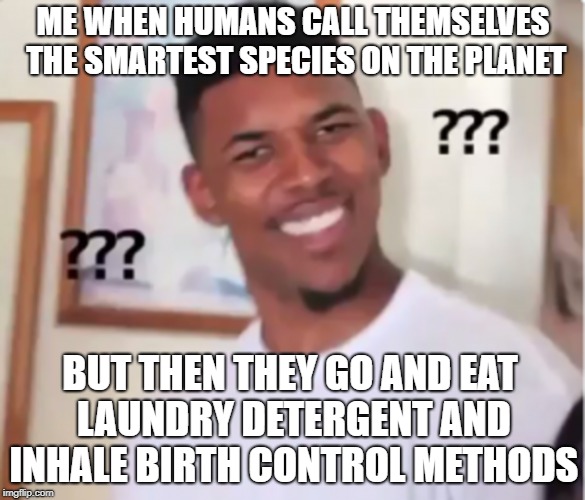 We're actually the dumbest species because no other animal would even think of things this stupid. | ME WHEN HUMANS CALL THEMSELVES THE SMARTEST SPECIES ON THE PLANET; BUT THEN THEY GO AND EAT LAUNDRY DETERGENT AND INHALE BIRTH CONTROL METHODS | image tagged in memes,funnyihope,confused nick young,tide pods | made w/ Imgflip meme maker