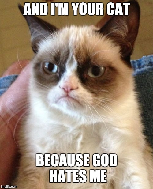 AND I'M YOUR CAT BECAUSE GOD HATES ME | image tagged in memes,grumpy cat | made w/ Imgflip meme maker