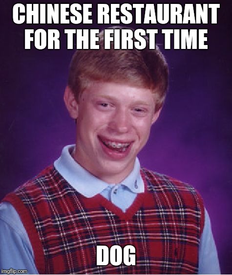 Bad Luck Brian Meme | CHINESE RESTAURANT FOR THE FIRST TIME; DOG | image tagged in memes,bad luck brian | made w/ Imgflip meme maker