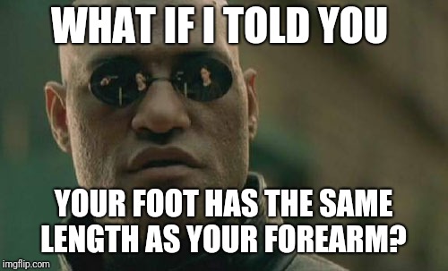 Matrix Morpheus Meme | WHAT IF I TOLD YOU; YOUR FOOT HAS THE SAME LENGTH AS YOUR FOREARM? | image tagged in memes,matrix morpheus | made w/ Imgflip meme maker