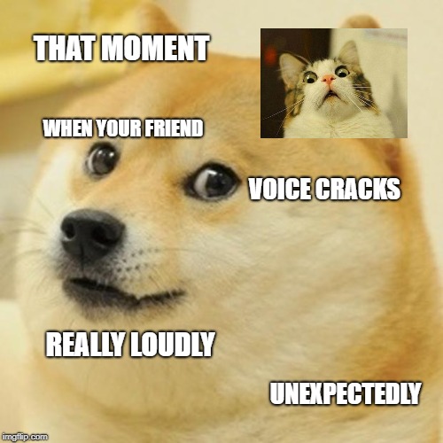 Doge Meme | THAT MOMENT; WHEN YOUR FRIEND; VOICE CRACKS; REALLY LOUDLY; UNEXPECTEDLY | image tagged in memes,doge | made w/ Imgflip meme maker