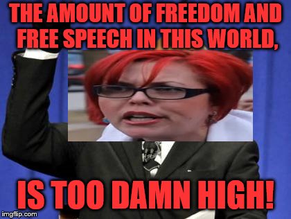 Too Damn Feminist | THE AMOUNT OF FREEDOM AND FREE SPEECH IN THIS WORLD, IS TOO DAMN HIGH! | image tagged in memes,too damn high,freedom,feminist,triggered | made w/ Imgflip meme maker