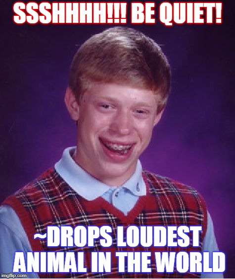 Bad Luck Brian | SSSHHHH!!! BE QUIET! ~DROPS LOUDEST ANIMAL IN THE WORLD | image tagged in memes,bad luck brian | made w/ Imgflip meme maker