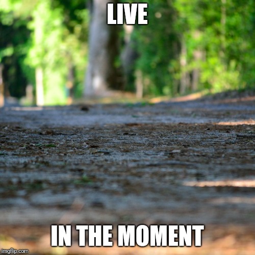 LIVE; IN THE MOMENT | image tagged in in the moment | made w/ Imgflip meme maker