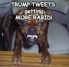 TRUMP TWEETS - RABID | TRUMP TWEETS getting MORE RABID! | image tagged in rabid,crazy tweets,trump,trump tweeting,tweet,rabidtrump | made w/ Imgflip meme maker