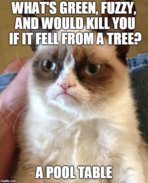 Grumpy Cat Meme | WHAT'S GREEN, FUZZY, AND WOULD KILL YOU IF IT FELL FROM A TREE? A POOL TABLE | image tagged in memes,grumpy cat | made w/ Imgflip meme maker