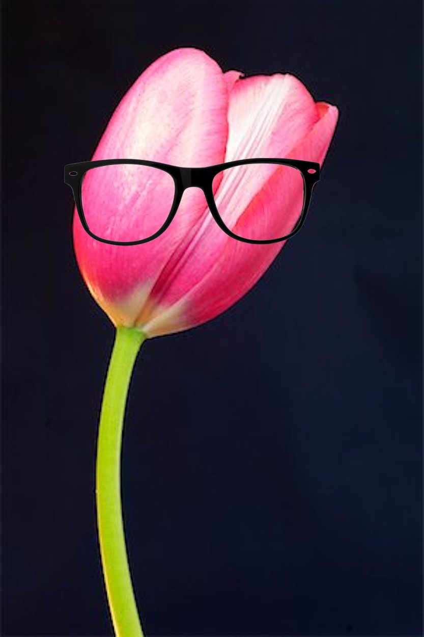 Hipster Tulip Blank Meme Template