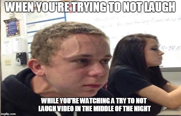  WHEN YOU'RE TRYING TO NOT LAUGH; WHILE YOU'RE WATCHING A TRY TO NOT LAUGH VIDEO IN THE MIDDLE OF THE NIGHT | image tagged in fart guy | made w/ Imgflip meme maker
