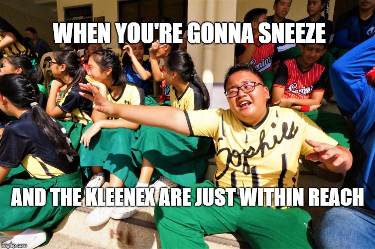 When you're gonna sneeze | WHEN YOU'RE GONNA SNEEZE; AND THE KLEENEX ARE JUST WITHIN REACH | image tagged in sneeze,kleenex,first world problems,sick | made w/ Imgflip meme maker