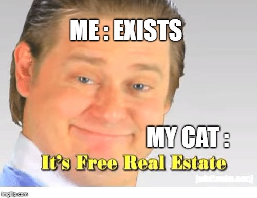 It's Free Real Estate | ME : EXISTS; MY CAT : | image tagged in it's free real estate | made w/ Imgflip meme maker
