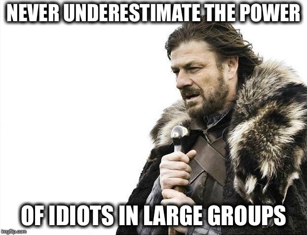 Brace Yourselves X is Coming Meme | NEVER UNDERESTIMATE THE POWER; OF IDIOTS IN LARGE GROUPS | image tagged in memes,brace yourselves x is coming | made w/ Imgflip meme maker