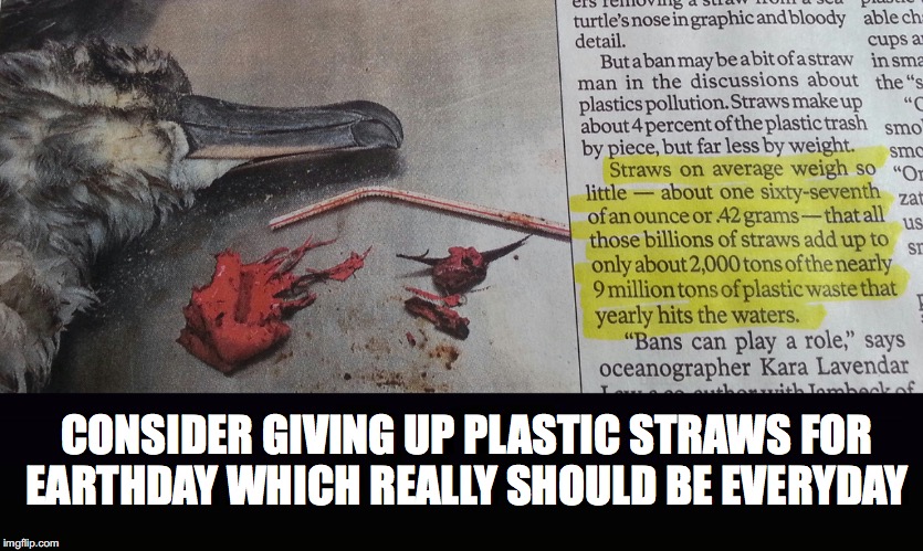Consider.... | CONSIDER GIVING UP PLASTIC STRAWS FOR EARTHDAY WHICH REALLY SHOULD BE EVERYDAY | image tagged in straws,death,wildlife,earthday,ocean,waste | made w/ Imgflip meme maker