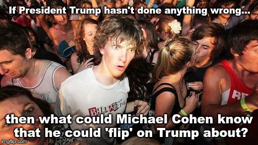 sudden realization ralph | If President Trump hasn't done anything wrong... then what could Michael Cohen know that he could 'flip' on Trump about? | image tagged in sudden realization ralph | made w/ Imgflip meme maker