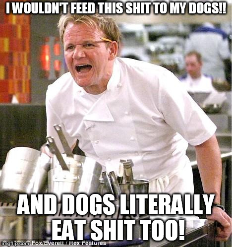 Chef Gordon Ramsay Meme | I WOULDN'T FEED THIS SHIT TO MY DOGS!! AND DOGS LITERALLY EAT SHIT TOO! | image tagged in memes,chef gordon ramsay | made w/ Imgflip meme maker