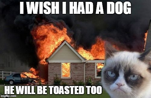 Burn Kitty Meme | I WISH I HAD A DOG; HE WILL BE TOASTED TOO | image tagged in memes,burn kitty,grumpy cat | made w/ Imgflip meme maker