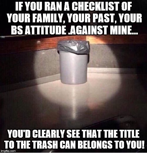 Trash can | IF YOU RAN A CHECKLIST OF YOUR FAMILY, YOUR PAST, YOUR BS ATTITUDE .AGAINST MINE... YOU'D CLEARLY SEE THAT THE TITLE TO THE TRASH CAN BELONGS TO YOU! | image tagged in trash can | made w/ Imgflip meme maker