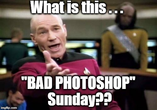 Picard Wtf Meme | What is this . . . "BAD PHOTOSHOP" Sunday?? | image tagged in memes,picard wtf | made w/ Imgflip meme maker