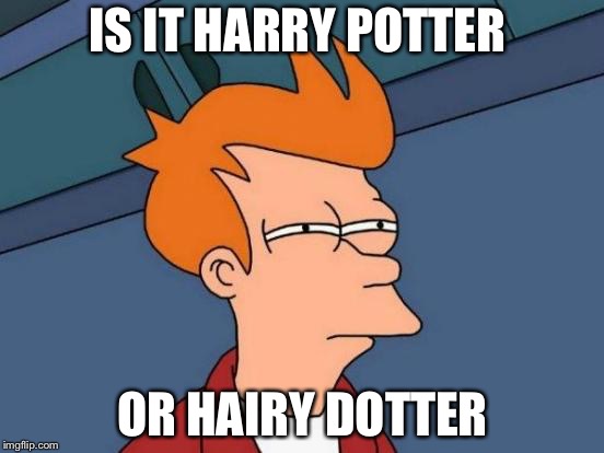 Futurama Fry | IS IT HARRY POTTER; OR HAIRY DOTTER | image tagged in memes,futurama fry | made w/ Imgflip meme maker