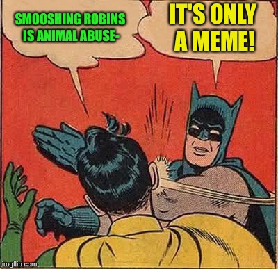 Batman Slapping Robin Meme | SMOOSHING ROBINS IS ANIMAL ABUSE- IT'S ONLY A MEME! | image tagged in memes,batman slapping robin | made w/ Imgflip meme maker