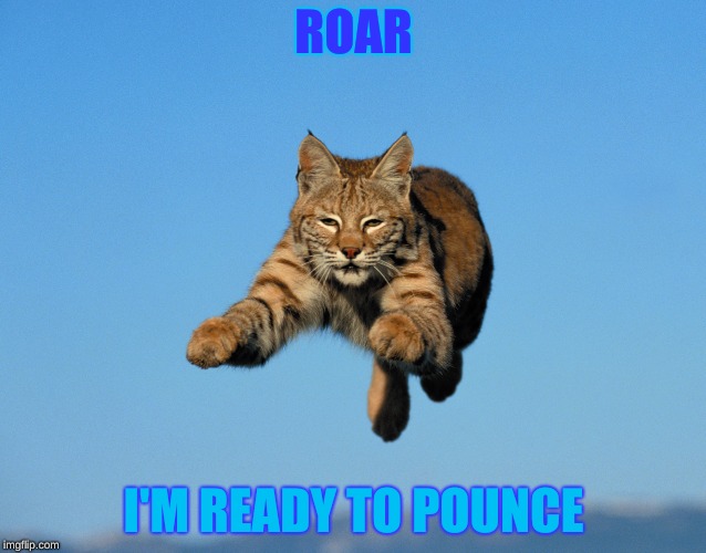 Bobcat | ROAR; I'M READY TO POUNCE | image tagged in bobcat,animals,insanity wolf | made w/ Imgflip meme maker