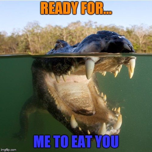Caimen | READY FOR... ME TO EAT YOU | image tagged in caillou,animals | made w/ Imgflip meme maker