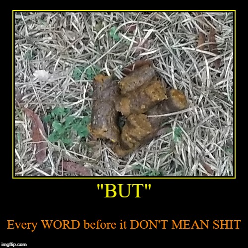 "BUT" | Every WORD before it DON'T MEAN SHIT | image tagged in funny,demotivationals | made w/ Imgflip demotivational maker