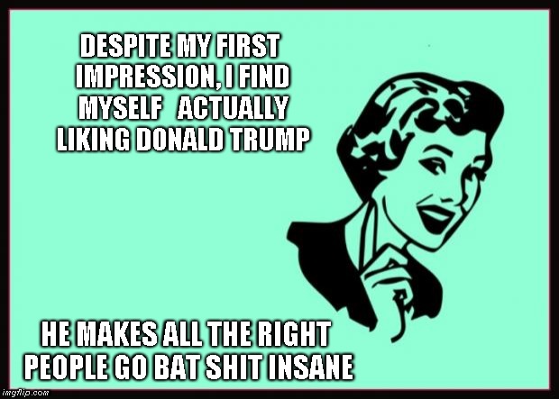 Donald Trump | DESPITE MY FIRST IMPRESSION, I FIND MYSELF 
 ACTUALLY LIKING DONALD TRUMP; HE MAKES ALL THE RIGHT PEOPLE GO BAT SHIT INSANE | image tagged in ecard,trump | made w/ Imgflip meme maker