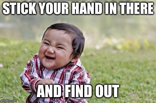 Evil Toddler Meme | STICK YOUR HAND IN THERE AND FIND OUT | image tagged in memes,evil toddler | made w/ Imgflip meme maker