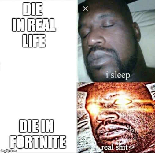 Sleeping Shaq | DIE IN REAL LIFE; DIE IN FORTNITE | image tagged in memes,sleeping shaq | made w/ Imgflip meme maker