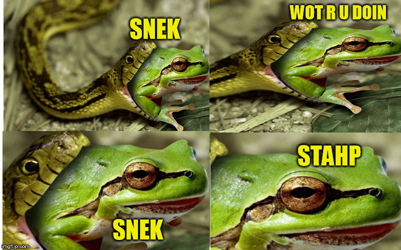 Download Nope Rope Meme | PNG & GIF BASE