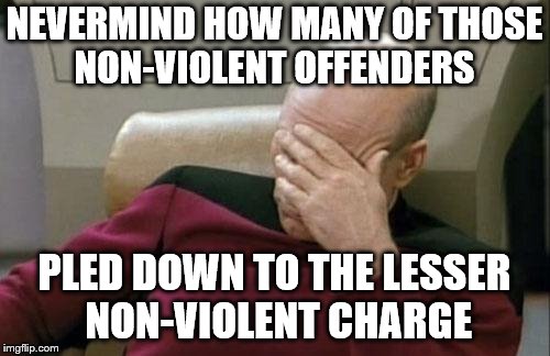 Captain Picard Facepalm Meme | NEVERMIND HOW MANY OF THOSE NON-VIOLENT OFFENDERS PLED DOWN TO THE LESSER NON-VIOLENT CHARGE | image tagged in memes,captain picard facepalm | made w/ Imgflip meme maker