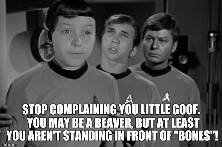 Bad Photoshop Sunday presents:  But I am standing in front of a Wally | STOP COMPLAINING YOU LITTLE GOOF.  YOU MAY BE A BEAVER, BUT AT LEAST YOU AREN'T STANDING IN FRONT OF "BONES"! | image tagged in bad photoshop,beaver,wally,star trek,bones | made w/ Imgflip meme maker