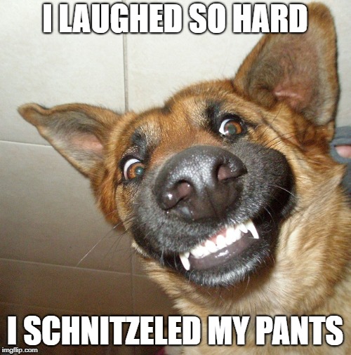 I LAUGHED SO HARD I SCHNITZELED MY PANTS | made w/ Imgflip meme maker