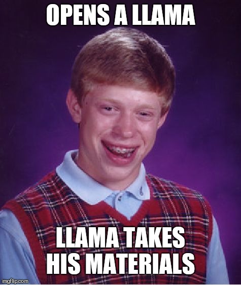 Bad Luck Brian Meme | OPENS A LLAMA; LLAMA TAKES HIS MATERIALS | image tagged in memes,bad luck brian | made w/ Imgflip meme maker
