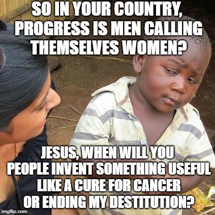 Meanwhile, As The First World Drowns In Indulgence... | SO IN YOUR COUNTRY, PROGRESS IS MEN CALLING THEMSELVES WOMEN? JESUS, WHEN WILL YOU PEOPLE INVENT SOMETHING USEFUL LIKE A CURE FOR CANCER OR ENDING MY DESTITUTION? | image tagged in memes,third world skeptical kid | made w/ Imgflip meme maker