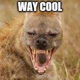 Mohawk hyena | WAY COOL | image tagged in mohawk hyena | made w/ Imgflip meme maker