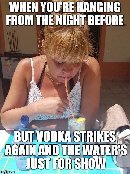 Hair of the dog  | WHEN YOU'RE HANGING FROM THE NIGHT BEFORE; BUT VODKA STRIKES AGAIN AND THE WATER'S JUST FOR SHOW | image tagged in vodka,hangover | made w/ Imgflip meme maker