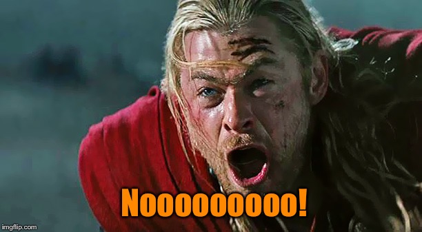 Thor No! | Nooooooooo! | image tagged in thor no | made w/ Imgflip meme maker