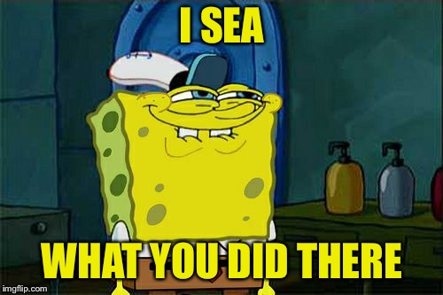 Don't You Squidward Meme | I SEA WHAT YOU DID THERE | image tagged in memes,dont you squidward | made w/ Imgflip meme maker