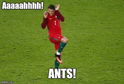 Aaaaahhhh! ANTS! | image tagged in bugs on the ground | made w/ Imgflip meme maker