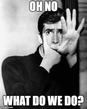 psycho | OH NO WHAT DO WE DO? | image tagged in psycho | made w/ Imgflip meme maker