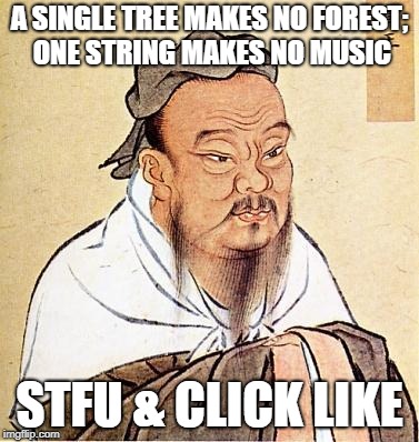 Wise Confucius | A SINGLE TREE MAKES NO FOREST; ONE STRING MAKES NO MUSIC; STFU & CLICK LIKE | image tagged in wise confucius | made w/ Imgflip meme maker