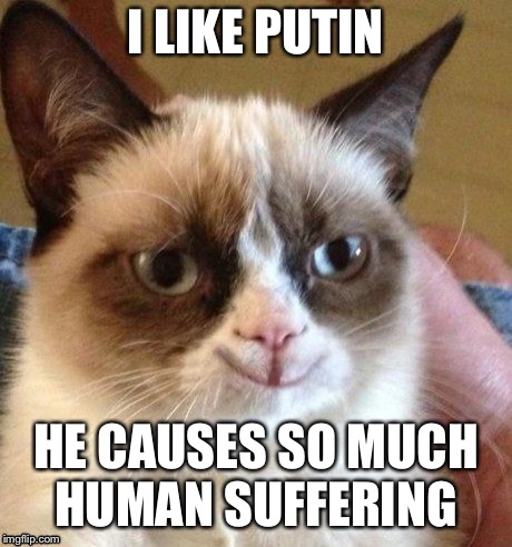 grumpy smile | I LIKE PUTIN HE CAUSES SO MUCH HUMAN SUFFERING | image tagged in grumpy smile | made w/ Imgflip meme maker
