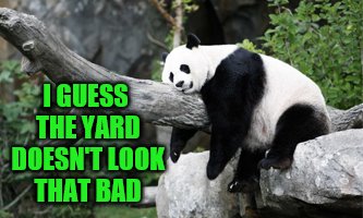 I GUESS THE YARD DOESN'T LOOK THAT BAD | made w/ Imgflip meme maker